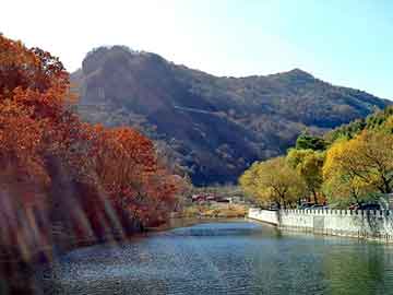 管家婆黑白马报图库，彩色油泥